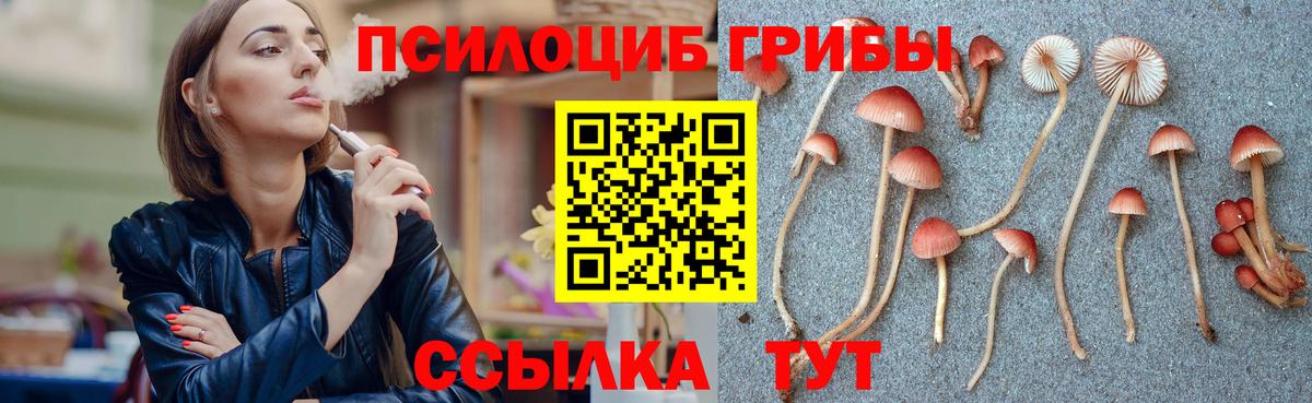 Конопля  Кокаин  Продажа наркотиков  Вход с VPN  Людиново  Гашиш  Меф  